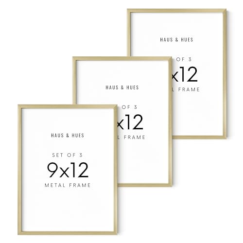 9x12 Gold Metal Picture Frames (Set of 03 / Gold Metal / 9x12 in)