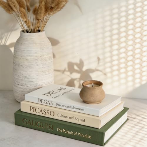 Decorative Books for Home Decor (3 Pcs / Style D)