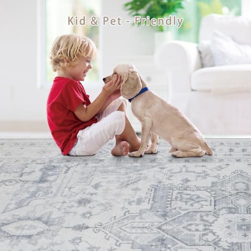 Washable Rugs 6x9 Area Rugs for Living Room (6' x 9' (Rectangular) / Grey/Cream/White/Light Blue)