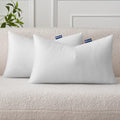 Pillow Insert 12x24 Inch Set of 2 (12x24 Inch)