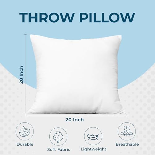 Throw Pillows (20x20 Inch)