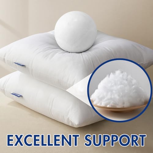 Pillow Insert 14x40 Inch Decorative Rectangle Throw Pillow Inserts (14x40 Inch)