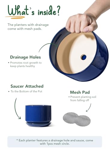 Ceramic Pots for Plants (Sapphire Blue / 4.3"+5.3"+6.8")