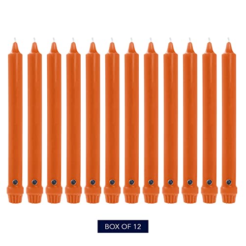 Unscented Taper Candle (Pumpkin / 8 In / Classic)