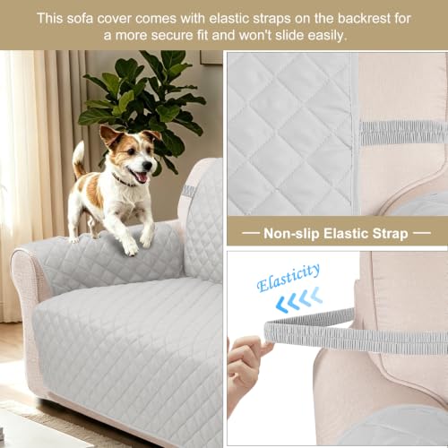 Loveseat Couch Cover for Dogs (Light Grey/Light Grey / Loveseat - Small (45"))