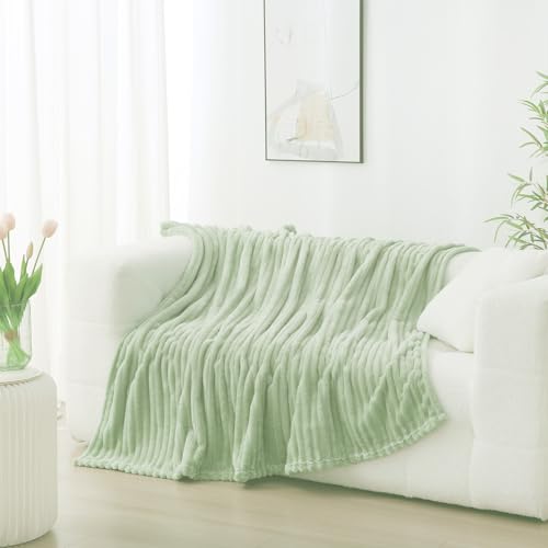 Cream Green Fleece Throw Blanket 50”×60” for Couch Sofa Livingroom (Cream Green / 50×60inch)