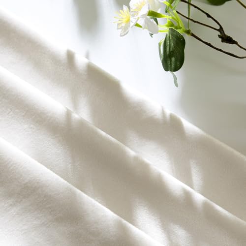 Velvet Pillow Covers 20x20 Decorative Pillows Pack of 2 Ivory (Ivory / 20" x 20" (Pack of 2))
