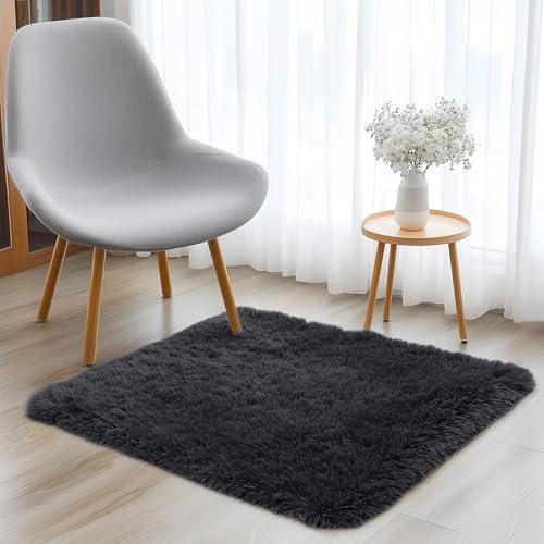 2x3 Machine Washable Small Bedside Rug (2x3 Ft / Black)
