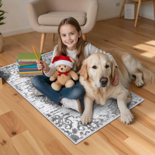 HEBE Indoor Door Mat 2'x3' (Grey / 2' x 3' (Rectangular))