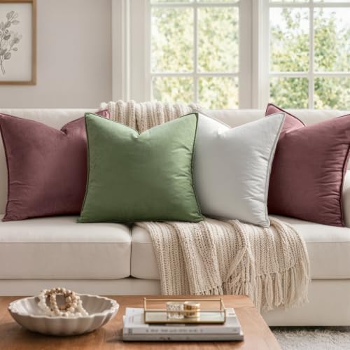 Decorative Jam Velvet Throw Pillow Covers for Couch 20x20 Inch (20" x 20" (Pack of 2) / Jam)