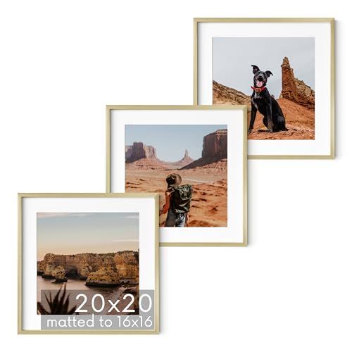20x20 Gold Metal Picture Frames Matted to 16x16 (Set of 03 / Gold Metal / 20x20 in)