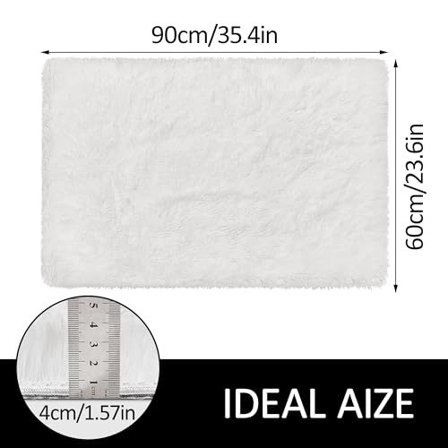 Small Area Rug for Bedroom 2x3ft Mini White Fluffy Rug Mat Bedside Throw Rug for Kids Room Boys Teens Nursery Baby Dorm Living Room Home Decor Aesthetic Carpets (White / 2' x 3' (Rectangular))