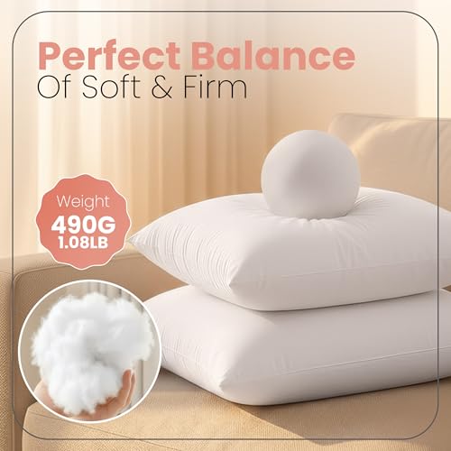 17x17 Pillow Inserts (White / 17x17 Inch)