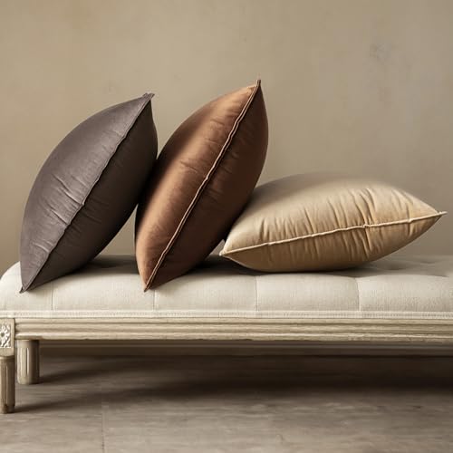 Decorative Dark Coffee Velvet Throw Pillow Covers for Couch 18x18 in (18" x 18" (Pack of 2) / Dark Coffee)