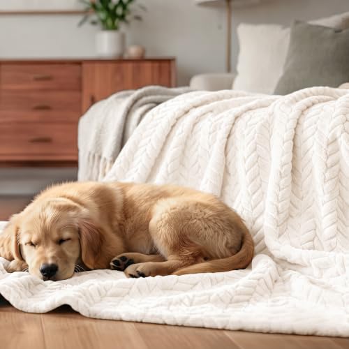 Soft Fleece Bed Blanket Queen Size (Off White / Queen ( 90x90 IN ))