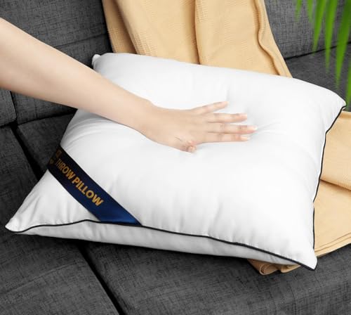 16x16 Throw Pillow Inserts (16x16 Inch)
