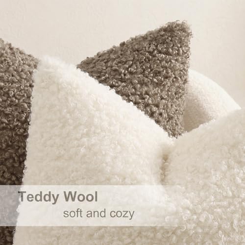 Sherpa Throw Pillow Covers 20x20 Set of 2 Neutral Cream (Cream / 20" x 20" (Pack of 2))