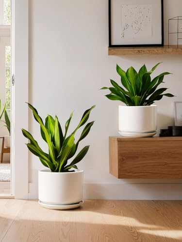 10 + 12 Inch Ceramic Plant Pots (White / 10"+12")