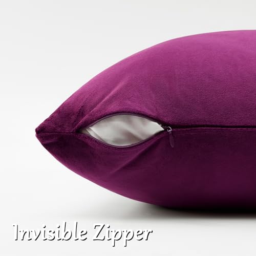 Velvet Pillow Covers 16x16 Decorative Pillows Pack of 2 Purple (Purple / 16" x 16" (Pack of 2))