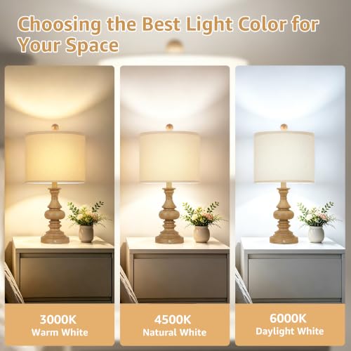 Cordless Rechargeable Table Lamps (Brown)