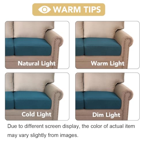 Super Stretch Individual Seat Covers (Deep Teal / 2 Cushion Sofa)