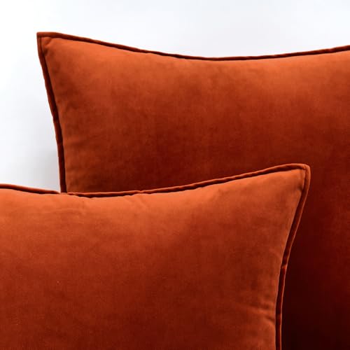 Fall Decorative Burnt Orange Velvet Throw Pillow Covers 16x16 Inch (16" x 16" (Pack of 2) / Burnt Orange)
