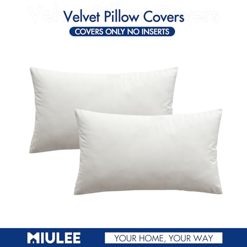 12x20 Inch Lumbar Velvet Throw Pillow Covers Pure White (20" x 12" (Pack of 2) / Pure White)