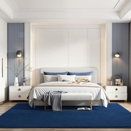 Navy Blue Area Rugs for Bedroom Living Room (4' x 6' (Rectangular) / Navy Blue)