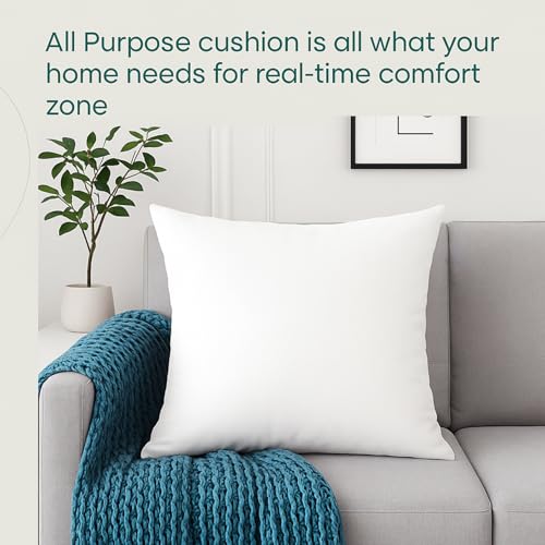 24x24 Throw Pillow Inserts Set of 2 (24x24 / 01: White)