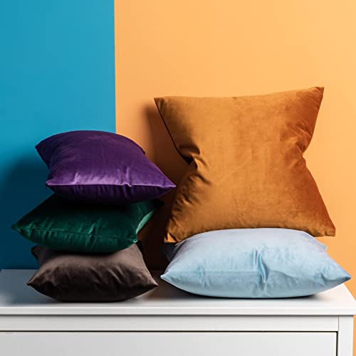 12x20 Lumbar Velvet Throw Pillow Covers Set of 2 for Couch Sofa Bed (Purple / 20" x 12" (Pack of 2))