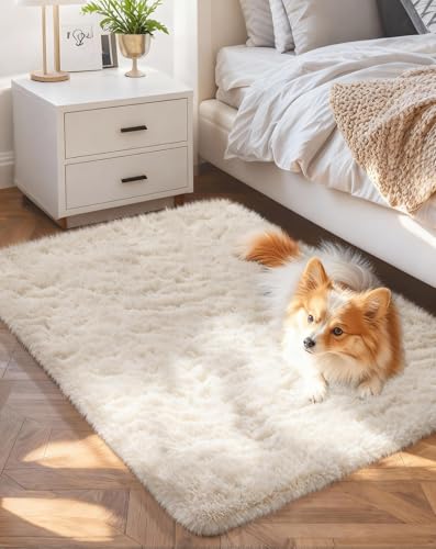 Small Ivory Entryway Throw Rugs for Bedroom (2- Ivory / 2' x 3' (Rectangular))