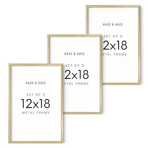 12x18 Gold Metal Picture Frames (Set of 03 / Gold Metal / 12x18 in)