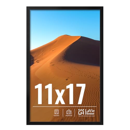 11x17 Picture Frame for Wall Display (Black / 11x17)