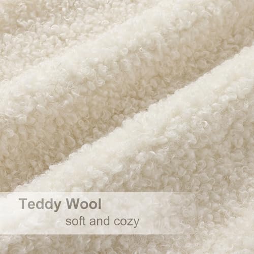 Sherpa Throw Pillow Covers 20x20 Set of 2 Neutral Cream (Cream / 20" x 20" (Pack of 2))