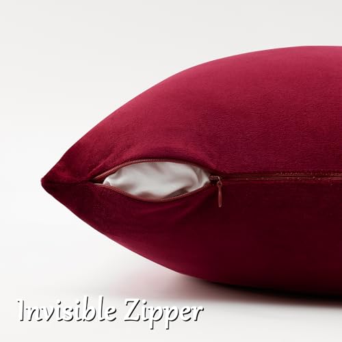 Burgundy Velvet Pillow Covers 12x20 Decorative Pillows Pack of 2 (Burgundy / 20" x 12" (Pack of 2))
