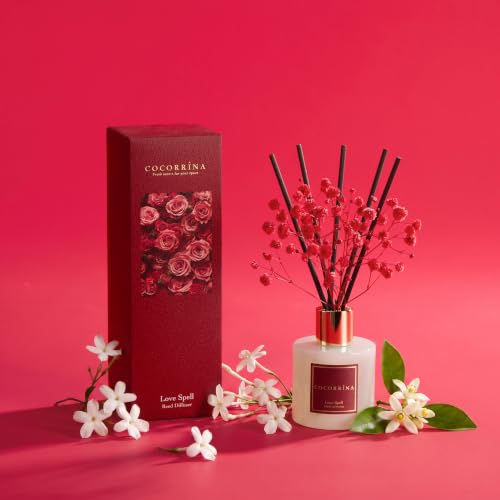 Reed Diffuser (3.38 fl oz)
