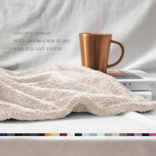 Fuzzy Plush Fleece Bed Blanket Queen Size (Beige / 90x90 IN)