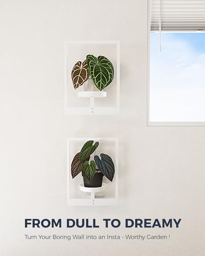 Wall Plant Holder Plant Stand Indoor Wall Planters White