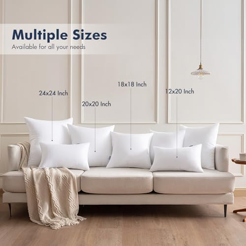 16x16 Throw Pillows Inserts 2 Pack (16x16 Inch)