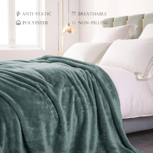 Fuzzy Plush Fleece Bed Blanket King Size (Celadon / 104x90 IN)