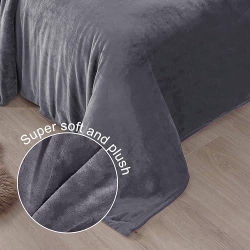 Soft Fleece Blanket Twin Size for Bed (Dark Grey / Twin XL (66" x 90"))