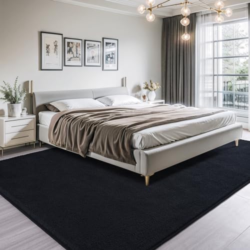 6x9 Area Rugs for Living Room Non Slip Dorm Bedroom Rug (6' x 9' (Rectangular) / Black)