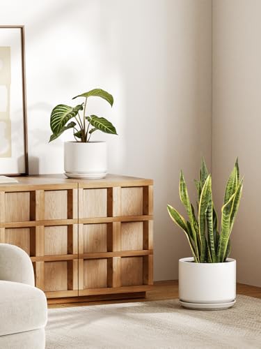 10 + 12 Inch Ceramic Plant Pots (White / 10"+12")
