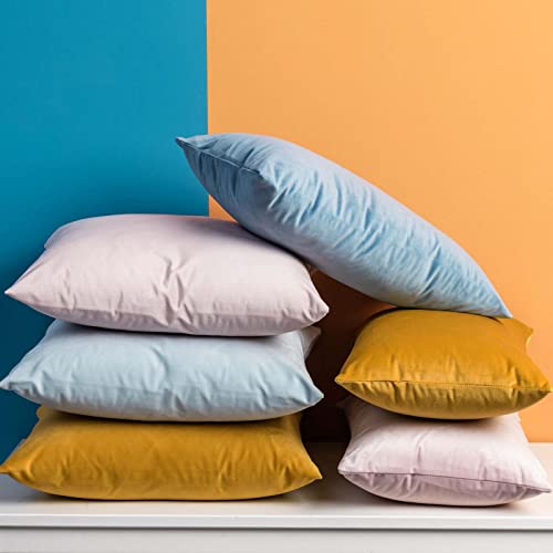 12x20 Lumbar Velvet Throw Pillow Covers Set of 2 (Gold / 20" x 12" (Pack of 2))