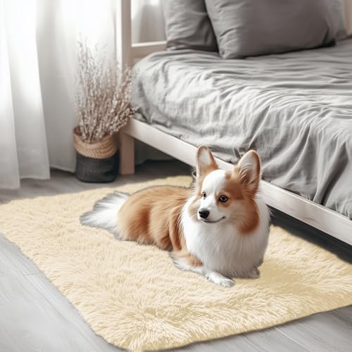 2x3 Machine Washable Small Bedside Rug (2x3 Ft / Cream)