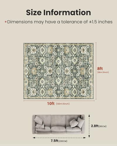 Amada 8x10 Washable Area Rug for Living Room (8' x 10' (Rectangular) / Green/Brown)