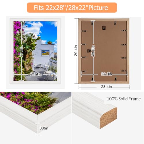 22x28 Wood Frame White (White / 22x28)