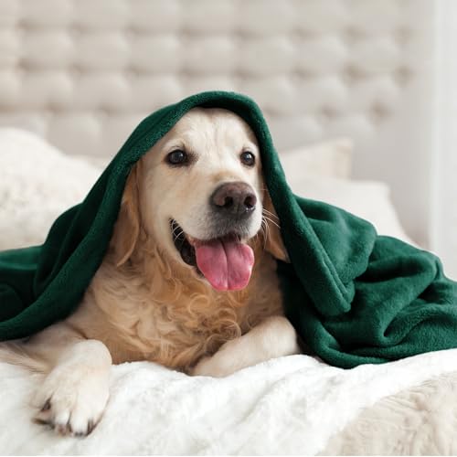 Fleece Blanket Soft Plush Queen Bed Blanket Forest Green 90"x90" (Forest Green / Queen(90"x90"))