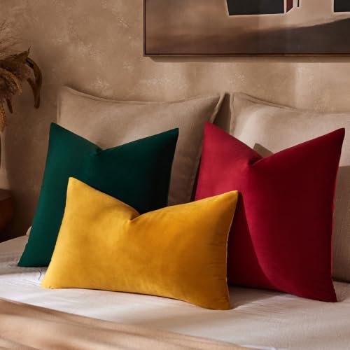 22x22 Decorative Velvet Throw Pillow Covers Set of 2 (Burgundy / 22" x 22" (Pack of 2))