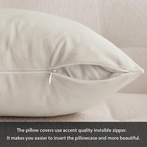 12x20 Inch Lumbar Velvet Throw Pillow Covers Cream White (20" x 12" (Pack of 2) / Cream White)